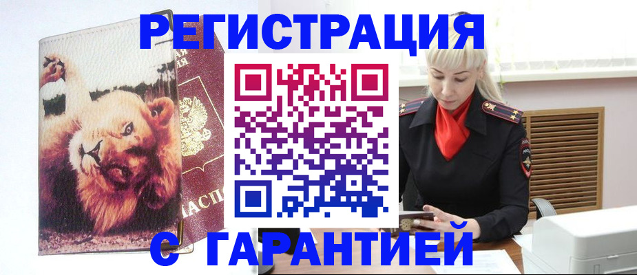 прописка от собственника в Сальске